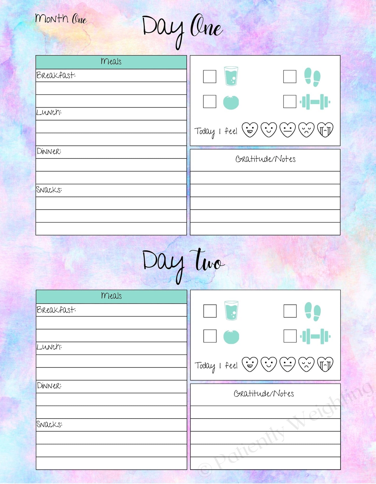 3 Month Undated Premium Weight Loss Journal