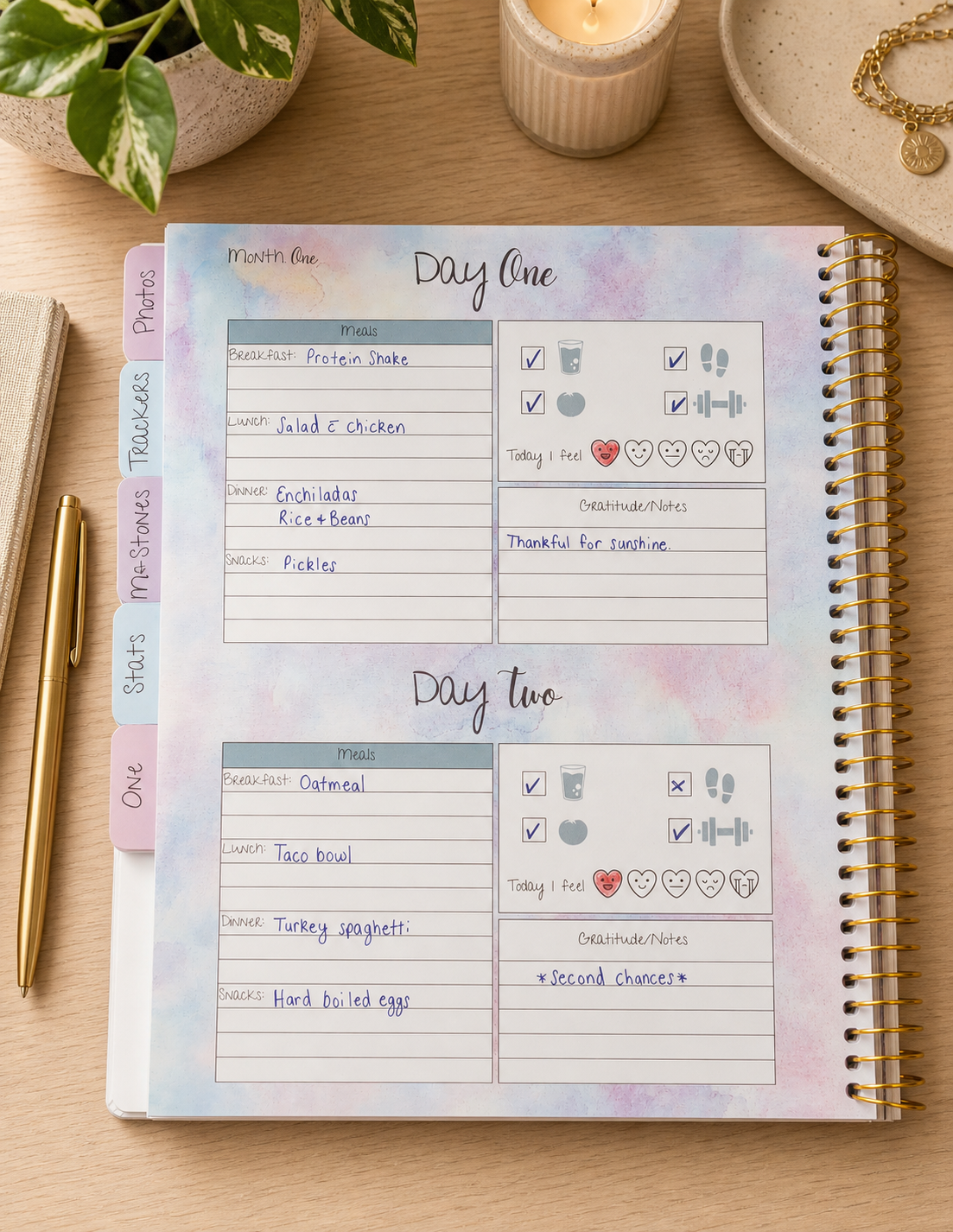 Premium Weight Loss Journal